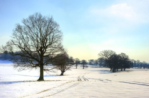 明るく青い空の日冬の田園風景 — ストック写真