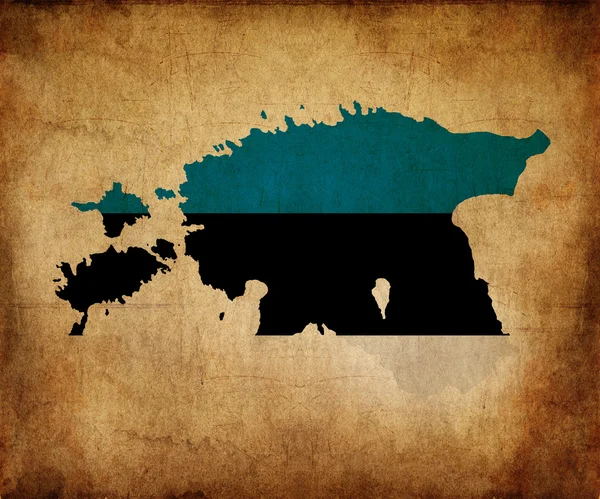 Estland Grunge Map Outline mit Flagge — Stockfoto