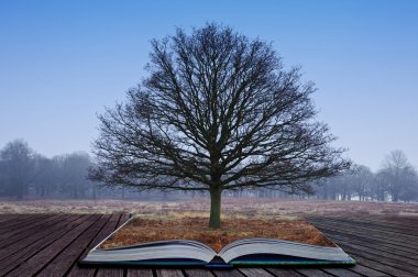 sihirli kitap sayfaları dışında büyüyen tek ağaç