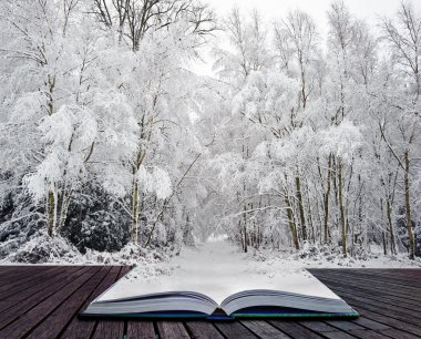 Winter wonderland in pages of magical book clipart