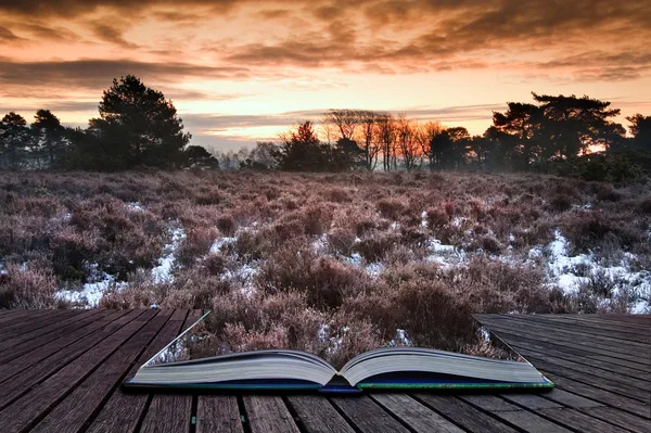 Зимний восход солнца выходит из страниц волшебной книги — стоковое фото