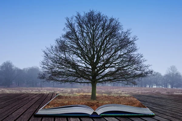 stock image Single tree growing out of pages in magic book