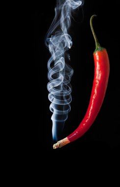 Smoking red hot chilli pepper with burning tip and smoke