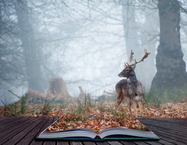 Fallow deer stag in pages of magical book clipart