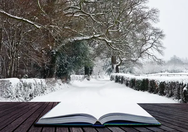 Путь, выходящий из книги в зимний пейзаж страны чудес — стоковое фото