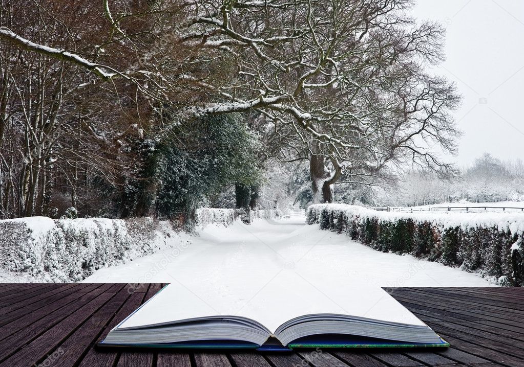 Path coming out of book into Winter wonderland landscape