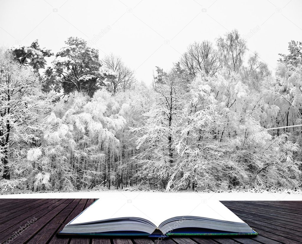 Winter wonderland scene in pages of magical book