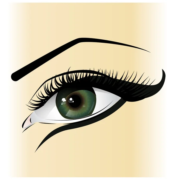 Beautiful female green eye — Stock Vector