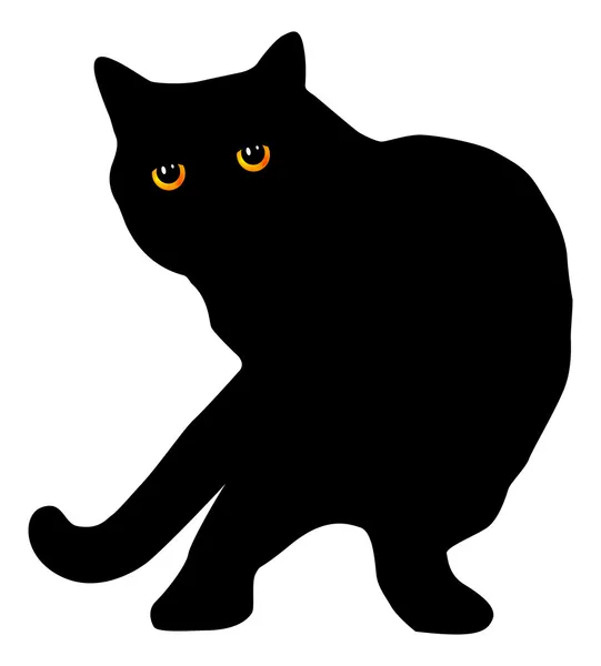 Zwarte Britse korthaar kat silhouet — Stockvector