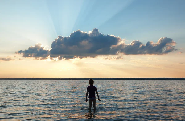 stock image Summer evening