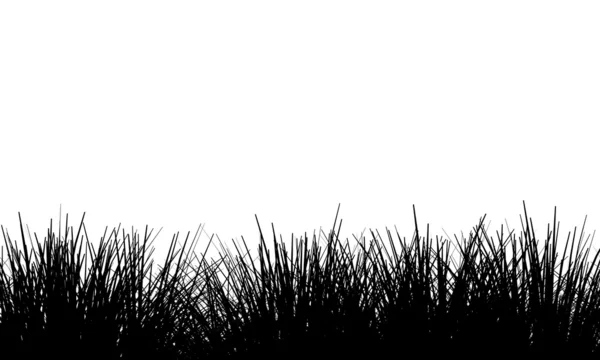 stock image Grass Plant Silhouette