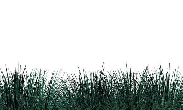 孤立的绿草 — 图库照片