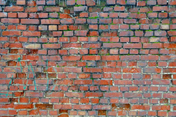Brick wall.3 — Stock Photo, Image