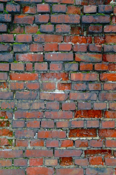 Кирпич wall.5 — стоковое фото