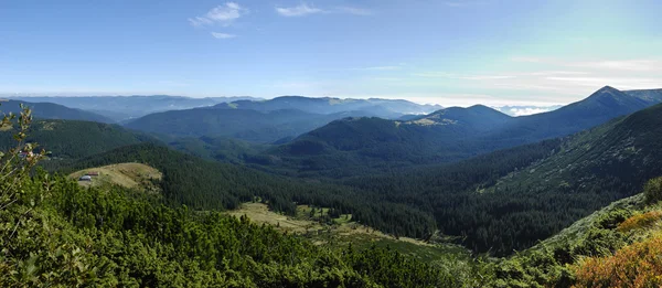 Berglandschaft in den Karpaten lizenzfreie Stockfotos