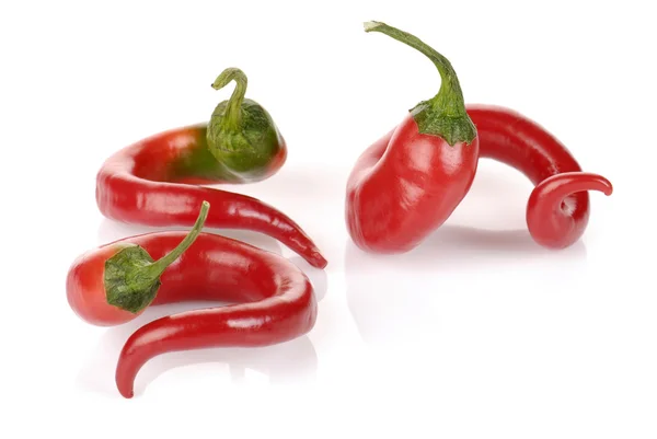 Curved red chilli peppers isolated on white — Stock Photo, Image
