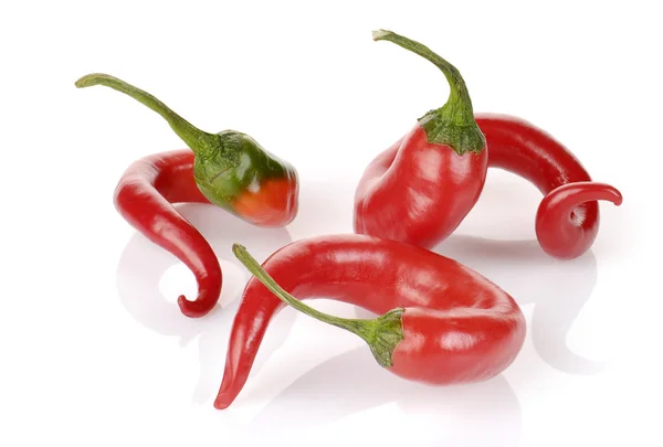 Curved red chilli peppers isolated on white — Stock Photo, Image