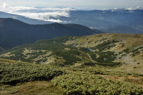 Vackra bergslandskapet i Karpaterna — Stockfoto
