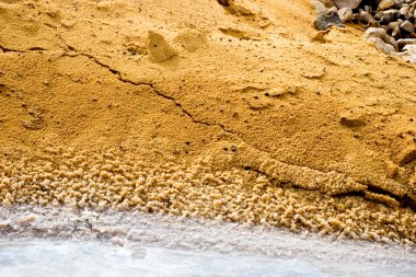 Makro görünümü dead sea coast üzerinde