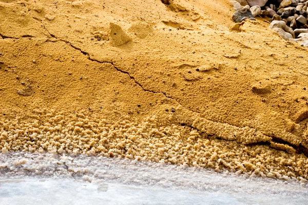 stock image Macro View on coast of Dead Sea