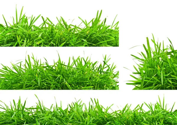 Pozadí jarní zelené trávy — Stock fotografie