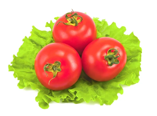 Rote Tomaten und Salatblätter — Stockfoto
