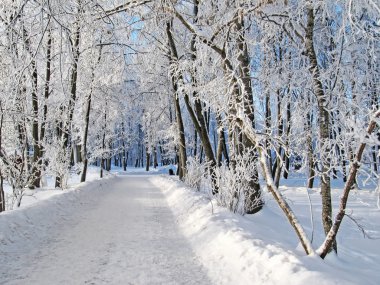 kış yolu