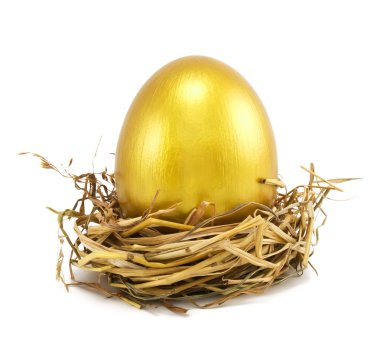 Golden eggs in nest clipart