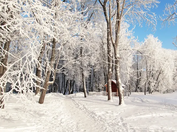 stock image Little house in winter