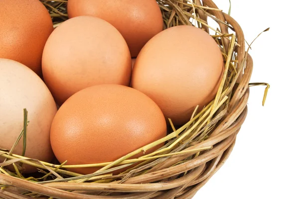Καφετιά αυγά στο σανό στο καλάθι — Φωτογραφία Αρχείου