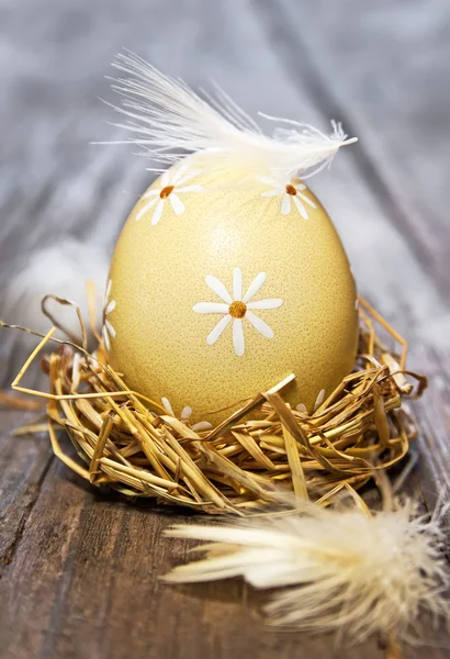 鸟巢中的复活节蛋 — 图库照片