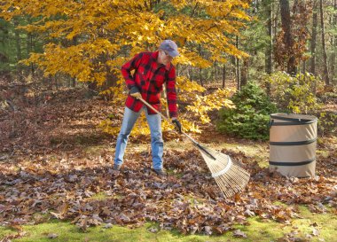 Raking leaves clipart