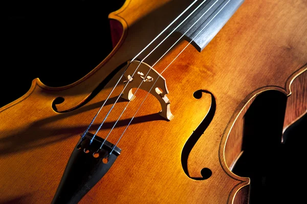 Cello or violoncello Royalty Free Stock Images