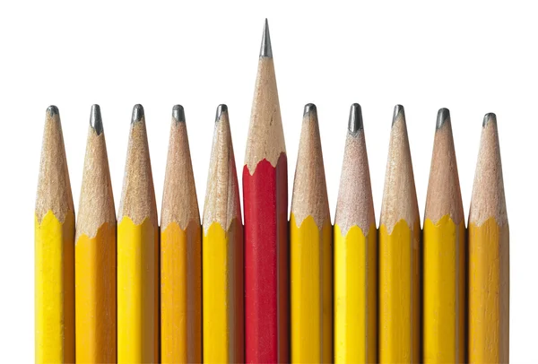 Sharpest Pencil in the Bunch, isolated — Stock Photo, Image