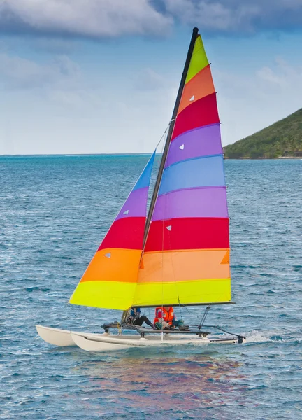 stock image Sailing a hobie cat