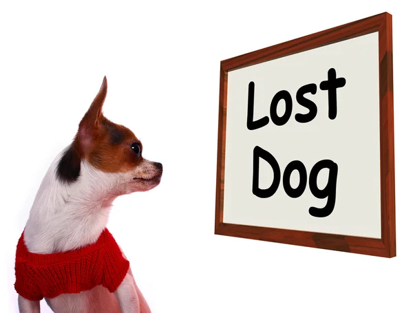 Sinal de cão perdido mostrando filhote de cachorro desaparecido ou fugitivo — Fotografia de Stock