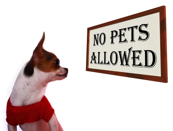 Inga Husdjur tillåtna tecken visar obehörig förbjudna zonen — Stockfoto