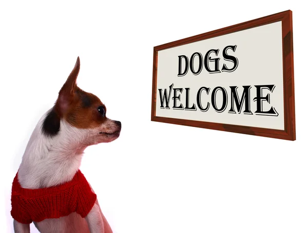 Dogs Allowed Sign Showing Doggie Friendly Hotel — Stock Photo, Image