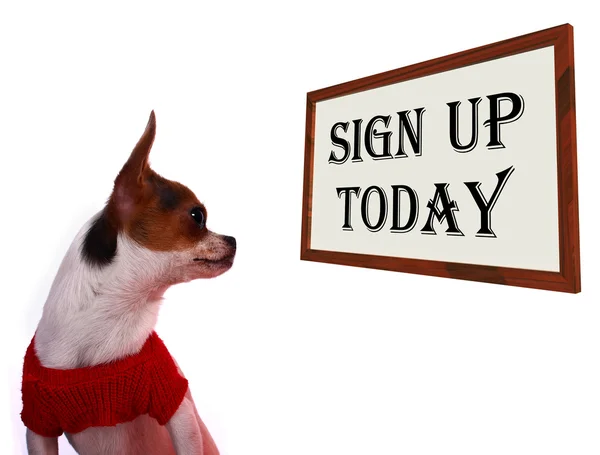 Zarejestruj się dziś znak rejestracji na stronie internetowej pies — Zdjęcie stockowe