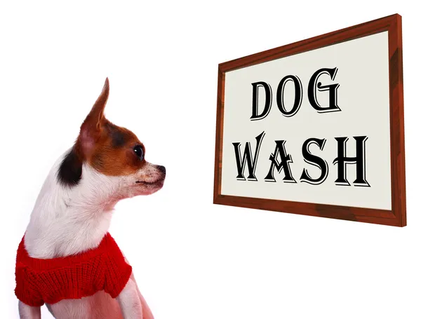 Σκύλος πλύνετε σημάδι προβολή κυνικός περιποίηση πλύσιμο ή σαμπουάν — Φωτογραφία Αρχείου