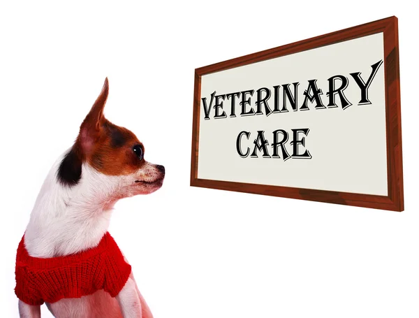 Κτηνιατρική φροντίδα πινακίδα που δείχνει κατοικίδιο ζώο κλινική ή νοσοκομείο — Φωτογραφία Αρχείου