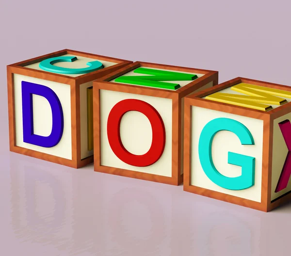 孩子们块拼写作为标志为狗和宠物狗 — 图库照片