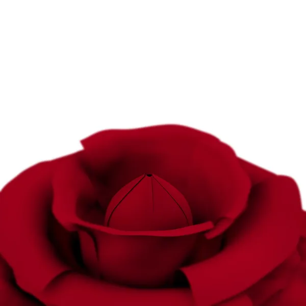 Rose mit weißem Copyspace-Hintergrund, der Liebesvalentinen zeigt und — Stockfoto