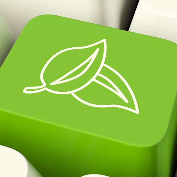 stock image Leaves Icon Computer Key In Green Showing Recycling And Eco Frie