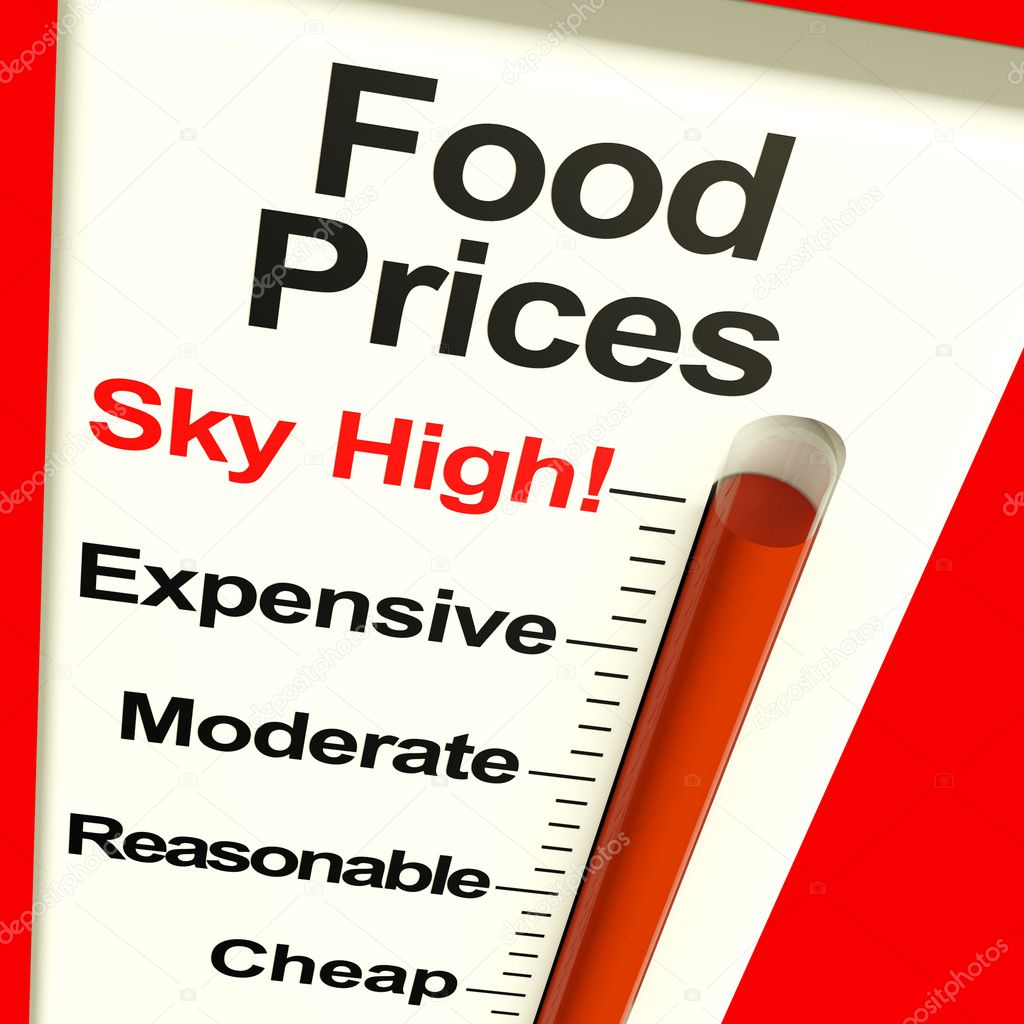 Food Prices High Monitor Showing Expensive Grocery Costs