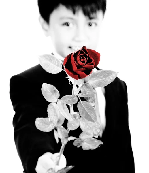 Junge hält eine rote Rose für ein Mädchen hoch — Stockfoto