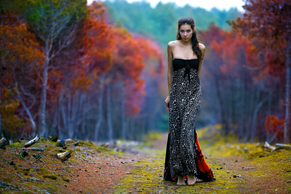 The girl in the autumn pine forest