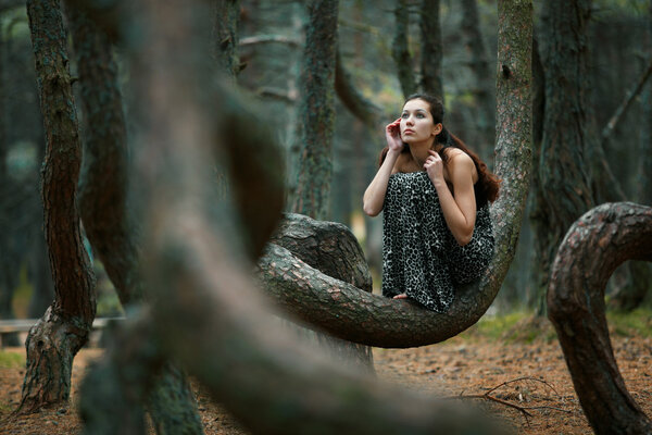 The girl in the autumn pine forest