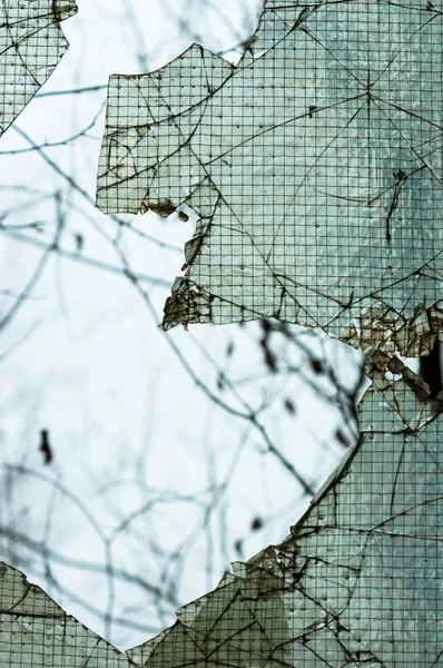 Web ile kırık pencere — Stok fotoğraf