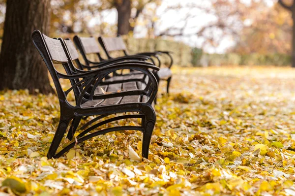 Autumnal park with bench — Stock Photo, Image